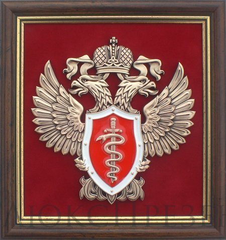 Плакетка 'Эмблема Федеральной службы по контролю за оборотом наркотиков' (ФСКН России)